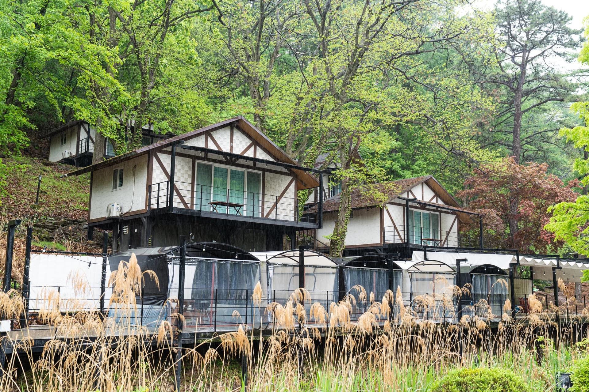 초호펜션 전경 - 숲 속에 자리한 펜션과 갈대밭