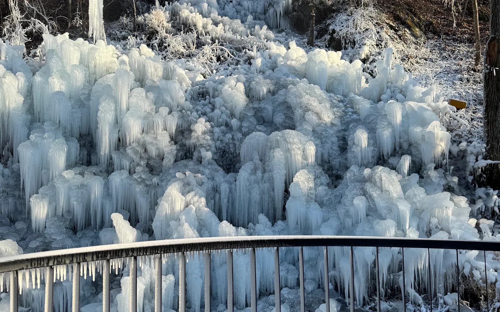 2025년 12월 4일 빙벽 개시!