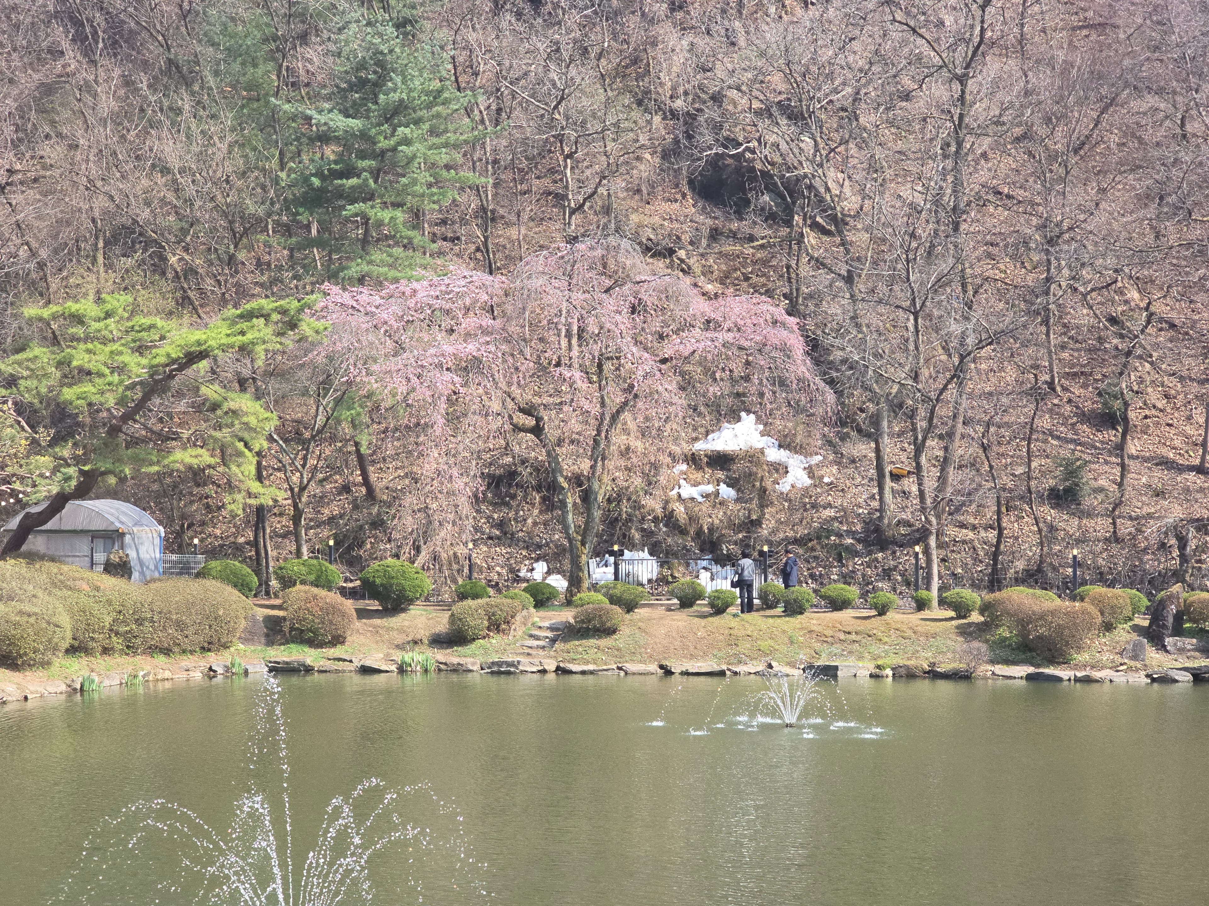 ���� ��ȭ ��Ȳ (4/5 ����)