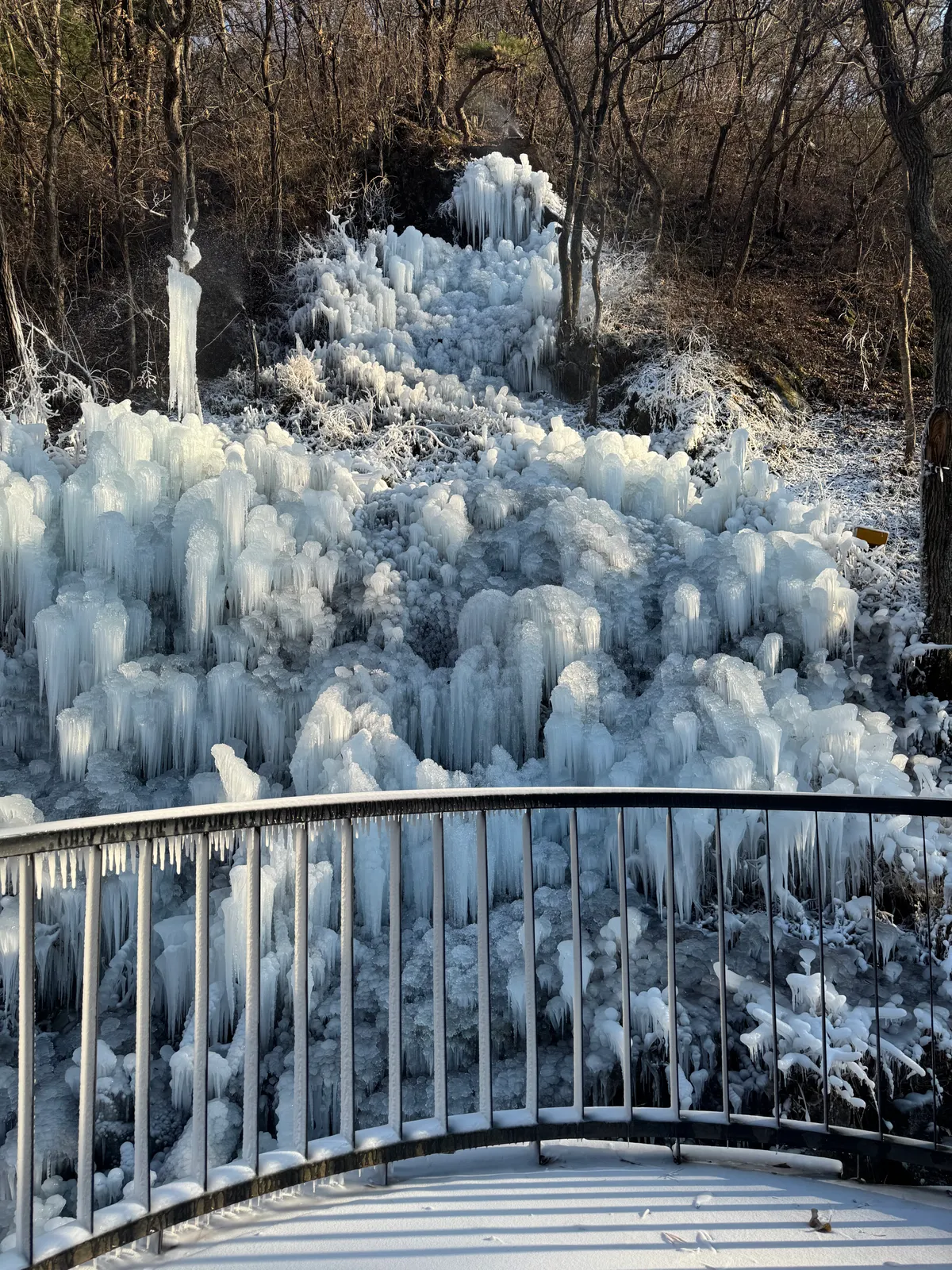 2025년 12월 4일 빙벽 개시! 1